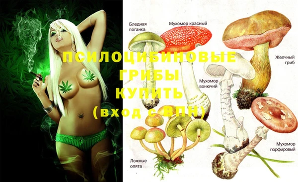 PSILOCYBIN Алексин