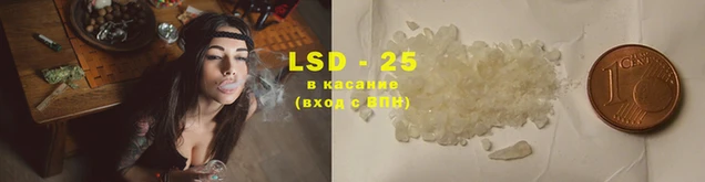 PSILOCYBIN Алексин