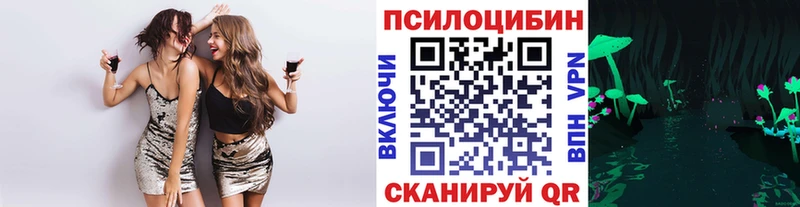 купить  сайты  Талдом  Галлюциногенные грибы MAGIC MUSHROOMS 