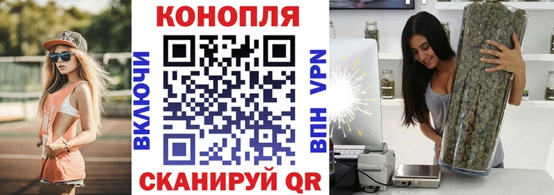 Конопля планчик  Талдом 